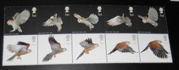 Great Britain - 2003 Barn Owl And Kestrel Block Of Ten MNH__(THB-3843) - Nuevos