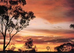 (579) Australia - Bush Sunset - Outback