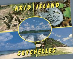 (231) Seychelles Islands (birds) - Seychellen