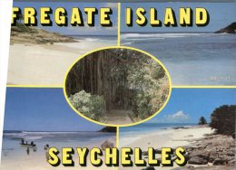 (231) Seychelles Islands - Fregate Island - Seychelles