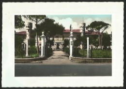 TORRETTE DI FANO Pesaro Albergo LIDO TORRETTE Marche 1959 - Fano