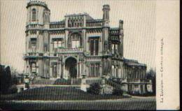 LA LOUVIERE «  Château Gothique »  Ed. VED - La Louvière