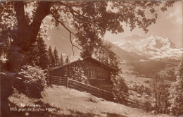 Carte Photo - Bei Wengeni - Blick Gegen Die Jungfrau, 1951 - Wengen