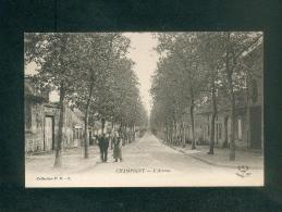 Champigny ( Yonne 89) - L' Avenue ( Animée Collection P. R.) - Champigny