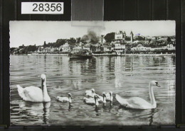 Delcampe - Nyon Cygnes - Nyon