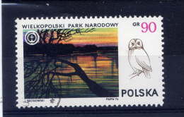 Hiboux Et Chouettes---POLOGNE--Wielkopolski Park Narodowy--Gr 90--- - Eulenvögel