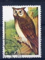 Hiboux Et Chouettes---CUBA--Animaux Préhistoriques--Ornimegalonyx Oteroi - Owls
