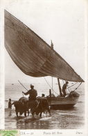 VALENCE VALENCIA  (Espagne) Pesca Del Bon Attelage De Boeufs Tirant Une Barque De Peche - Valencia