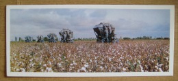 USSR Uzbekistan - Cotton Field In Khalkabad 1974 21x9 - Non Classificati