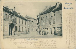 57 SARREBOURG  /  Lupinstrasse     / - Sarrebourg