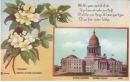 Boise Idaho, State Capitol Building, C1900s/10s Vintage Postcard - Boise