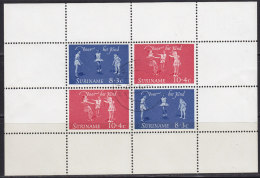 2193. Suriname, 1964, For The Child, Block, Used - Surinam