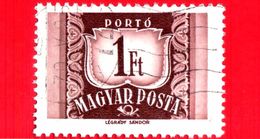 UNGHERIA - MAGYAR - Usato - 1969 - Segnatasse - Numero - Postage Due - 1 Ft - Postage Due