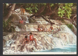 DF / JAMAÎQUE / LES CASCADES DE LA DUNN'S RIVER - Sonstige & Ohne Zuordnung