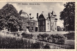 AMONINES : Château De Blier - Erezée