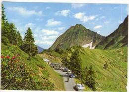 Autriche Vorarlberg  Der Ubergang Vom Laternsertal In Den Bregenzerwald Furkapass (1760m) TBE - Bregenz