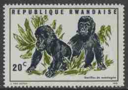 Ruanda Rwanda 1970 Mi 400 A YT 370 ** Gorilla Gorilla Beringei – Gorillas Of The Mountains / Berggorilla - Gorilla