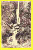 * Elsenborn (Liège - Luik - La Wallonie) * (Nels, Maison Kanzler) Cascade De Reinhardstein, Waterval, Chute, Bois, CPA - Elsenborn (Kamp)