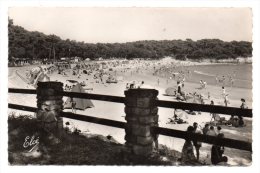 CPSM - VAUX-SUR-MER - PLAGE DE NAUZAN - Trés Animée - N/b - Ann 50 - - Vaux-sur-Mer