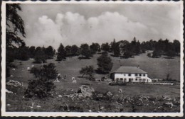 Villiers Hotel De Chuffort - Villiers