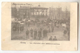 E2302 - Ciney - Le Marché Aux Bêtes-à-cornes - Ciney