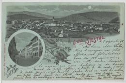 Switzerland - Liestal - 1898 - Litho - Liestal