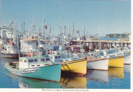 Canada Fishing Fleet At Rest Yarmouth Nova Scotia - Other & Unclassified