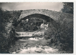 83 // SALERNES   Vieux Pont Romain - Salernes