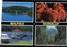 (680) Australia - WA - Walpole - Andere & Zonder Classificatie