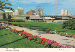 Skyline Of Tampa Florida - Tampa