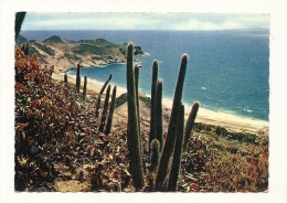 Cp, Guadeloupe, Les Saintes, Grande Anse De Terre-de-haut, Voyagée 1972 - Autres & Non Classés