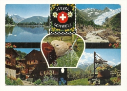Cp, Suisse, Multi-Vues, Voyagée - Sonstige & Ohne Zuordnung