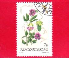 UNGHERIA - MAGYAR - 1991 - Flora D'America  - Fiori - Flowers - Cobabaea Scandens - 7 - Oblitérés