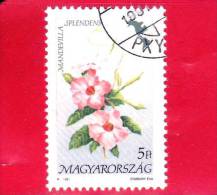 UNGHERIA - MAGYAR - 1991 - Flora D'America  - Fiori - Flowers - Mandevilla Splendens - 5 - Gebruikt