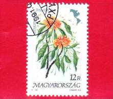 UNGHERIA - MAGYAR - 1991 - Flora D'America  - Fiori - Flowers - Steriphoma Paradoxa - 12 - Gebruikt