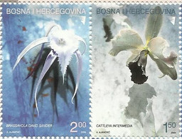 BH 2004-340-1 FLOWERS, BOSNA AND HERZEGOVINA, 1 X 2v, MNH - Cactusses
