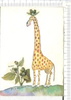 La GIRAFE  à La  BARDANE   -  D Aprés   Aquarelle - Girafes