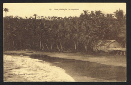 (Sao Tome And Principe) - Uma Plantação De Coqueiros - Sao Tome Et Principe