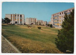 78 - Freneuse - Les Ensembles Du Nouveau Freneuse - Arch. La Soval Et La Socoma Mantes La Jolie 1974 - Freneuse