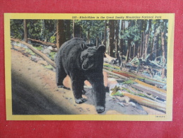 Bear Hitch Hiker Great Smokey Mountains National Park    Not Mailed Ref-1078 - Ours