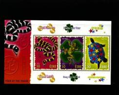 IRELAND/EIRE - 2001  YEAR OF THE SNAKE  MS MINT NH - Hojas Y Bloques