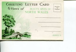 (folder 33) Older Postcard Folder - UK - North Wales - Autres & Non Classés