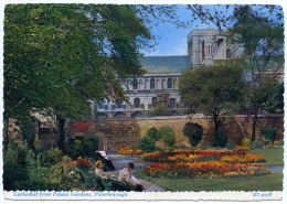 PETERBOROUGH : CATHEDRAL FROM PALACE GARDENS (10 X 15cms Approx.) - Sonstige & Ohne Zuordnung
