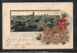 PASSEPARTOUT PRÄGE-AK    REGENSBURG   PANORAMA    ~ 1900 - Regensburg