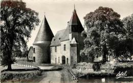 TUFFE          CHATEAU - Tuffe