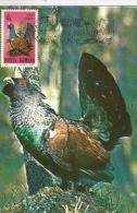 BIRDS, WILD ROOSTER, CM, MAXICARD, CARTES MAXIMUM, 1985, ROMANIA - Gallinacées & Faisans