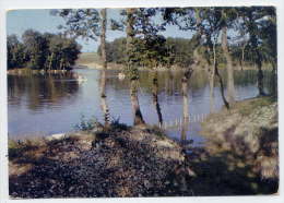 MONTFLANQUIN---1972--Le Lac ,cpsm 10 X 15  N°14 éd Cartes MYS - Monflanquin