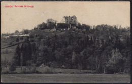 Wildegg Schloss - Wildegg