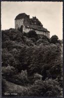 Wildegg Schloss - Wildegg