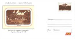 Romania / Postal Stationery / Argentine Whaling Factory - Wale